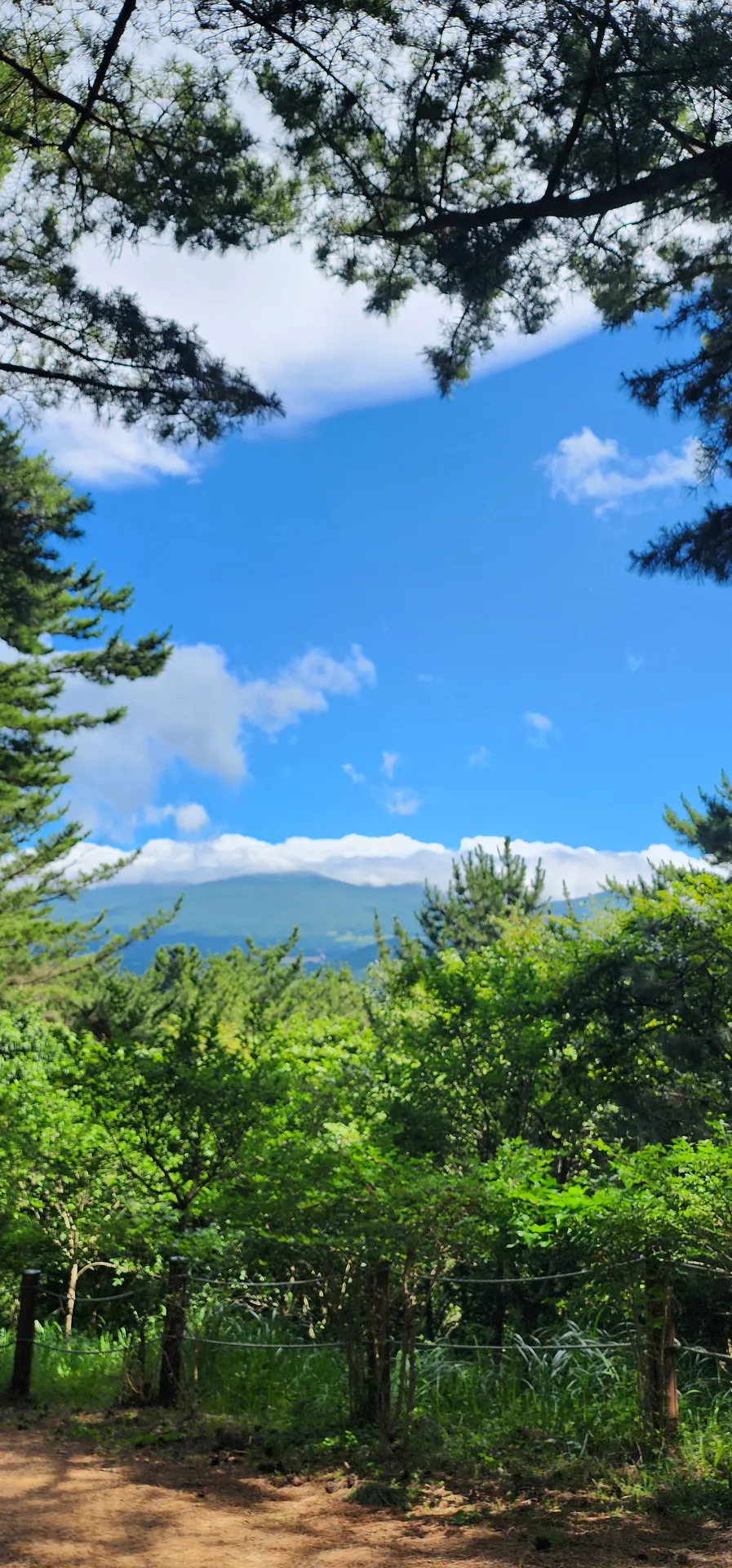 광이오름 정상에서 한라산 구경하기