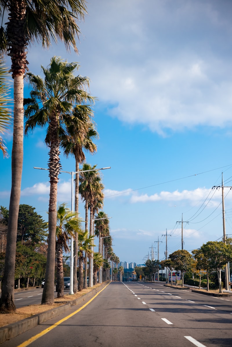 Explore Jeju by bus